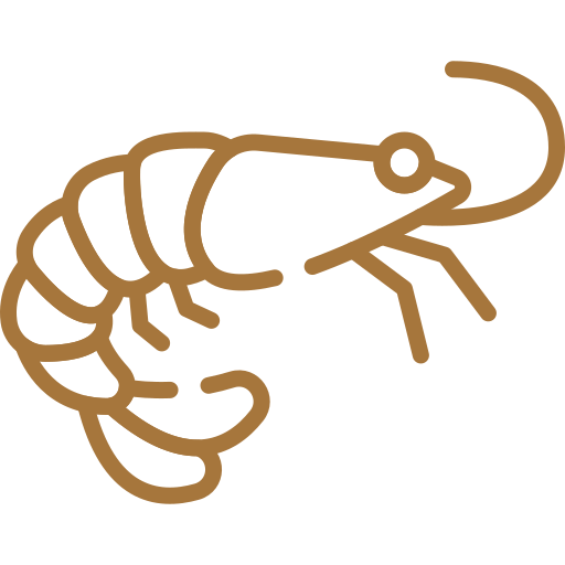 Ristorante specialità di mare a Sassuolo