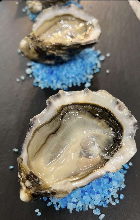 Ristorante specialità di mare a Sassuolo